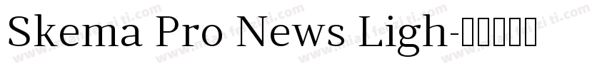 Skema Pro News Ligh字体转换